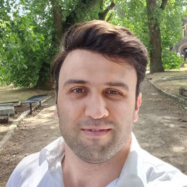 Hamed Arab